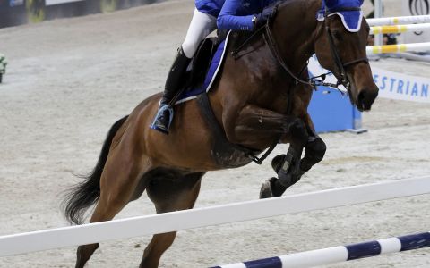 A look ahead to the weekend events with HSJ. 1 jump 5