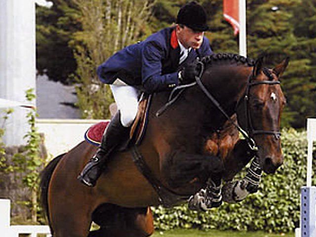 World Breeding Federation for Sport Horses : Kannan number one stallion in the world 1 kannan