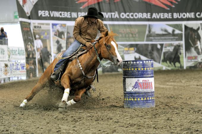 Fitetrec:chiude con successo al salone del Cavallo Americano 1 liguori Gerry monta americana Fitetrc Copia