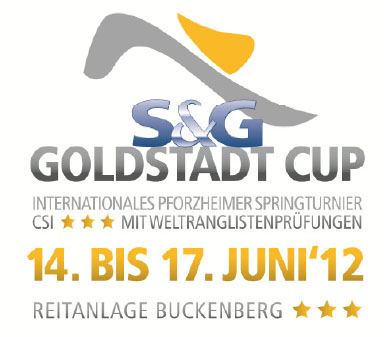 logo CSI3 Pforzheim