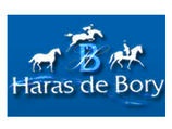 logo HARAS DE BORY