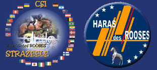 logo Straazele copia