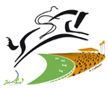 Patrice Delaveau wins at Kerturcks - Adecco 1 logo dinardequestriancenter 4