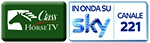 logo horse tv sky mail1 4