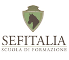 logo sefitalia
