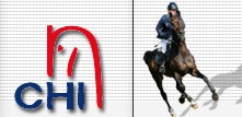 logo Donaueschingen 02 1