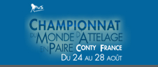 logo driving conty 2011