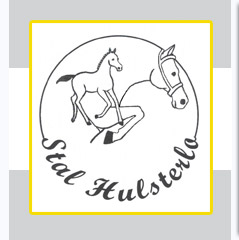 logo hulsterlo