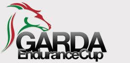 logo new 1