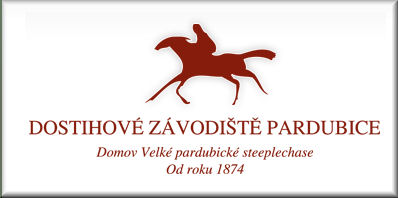 logo pardubice 2011