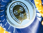 logo wiesbaden ok 01