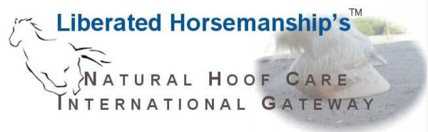 logoliberatedhorsemanship