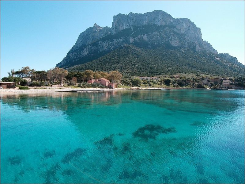 loiri porto san paolo