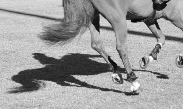 longines . 0