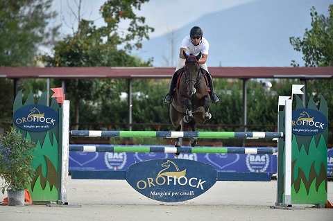 Montefalco chiama Lanaken, nero su bianco i cavalli convocati per i Mondiali 1 lupis gotham