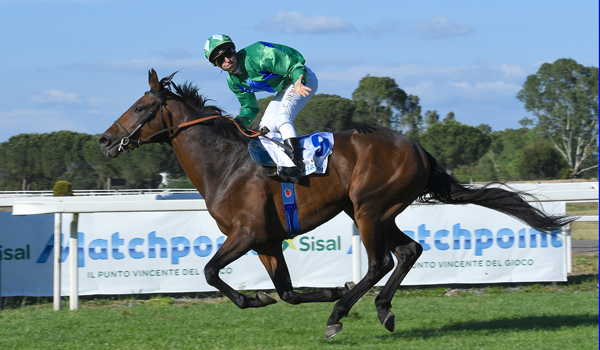Capannelle: Il 134° Derby Italiano al Generale Mac Mahon 1 mac mahon demuro derby dsc 5120