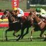 maisons laffitte1 1