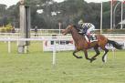 maisons laffitte 0