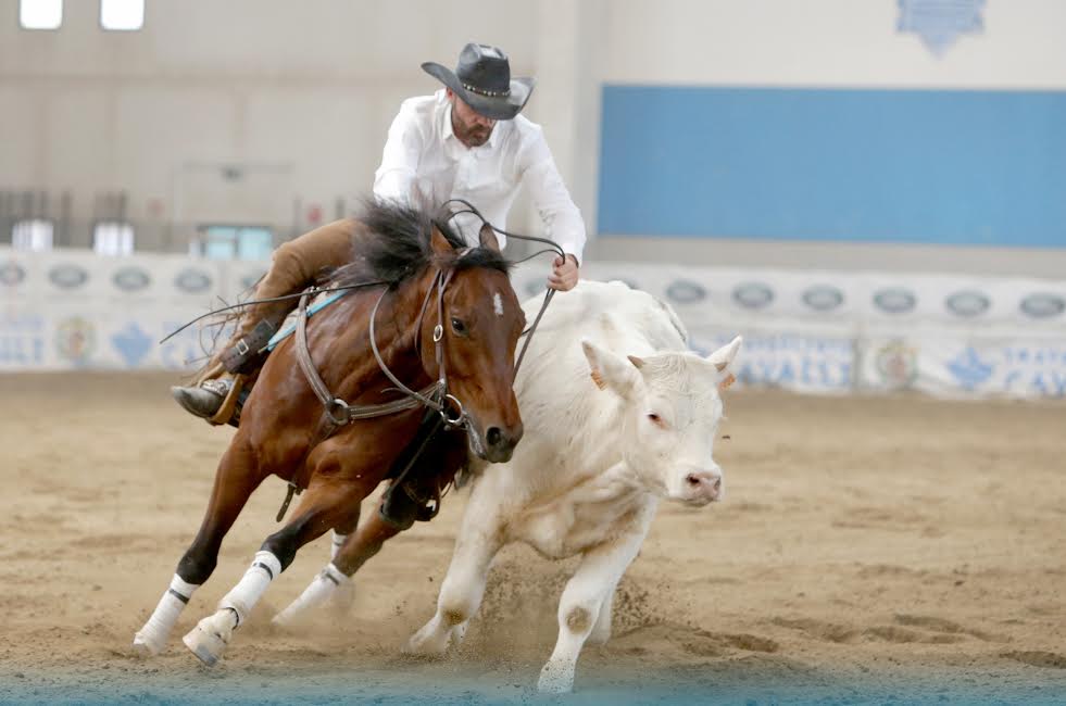 Travagliato : ecco i primi campioni FITETREC ANTE 1 marco proliworkink cow