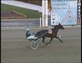 Ippica: Gibartur con Smorgon vince la Tris di Stupinigi 1 marco smorgon 1