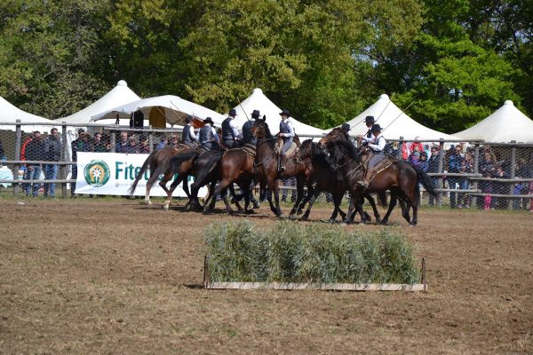 maremma a cavallo fitetrec