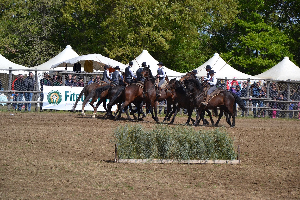 Cavallia a Roma: FITETREC sposa il territorio 1 maremma a cavallo fitetrec