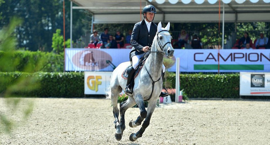 Cavallo grigio in gara