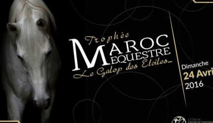 maroc equestre logo 1