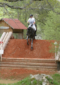michael jung