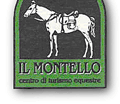 montello 1