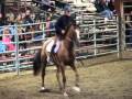 (VIDEO) A lesson with George Morris. 1 morris 0