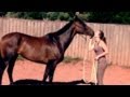ottb