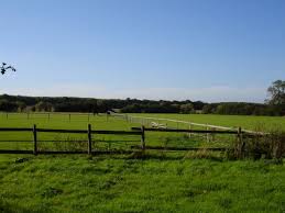 paddock 1
