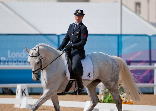 Endurance events at WEG 2014 today 1 panizzon dressage