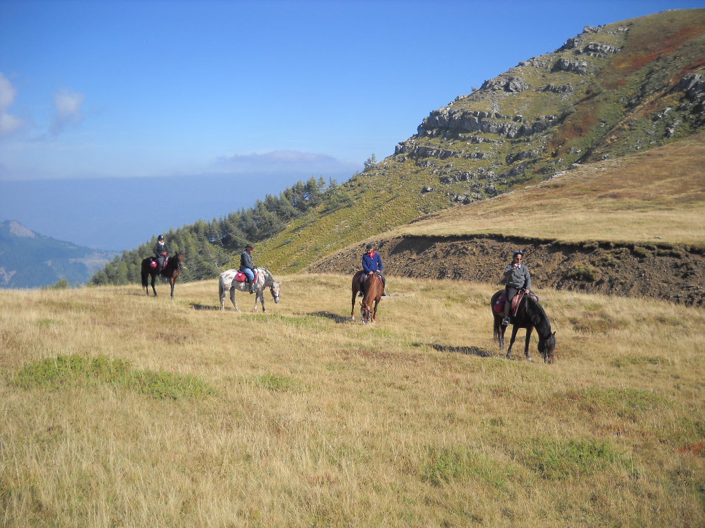 Turismo Equestre Fise, Festa della Donna in carrozza 1 panorama
