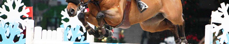 Salto Ostacoli: al CSI 4* di Salisburgo due italiani tra i primi 10 in classifica 1 pappas