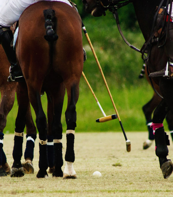 Milano International Polo Cup: Coppa Helvetia, la Svizzera a Milano 1 partita 19