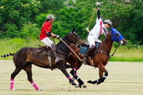 partita 23