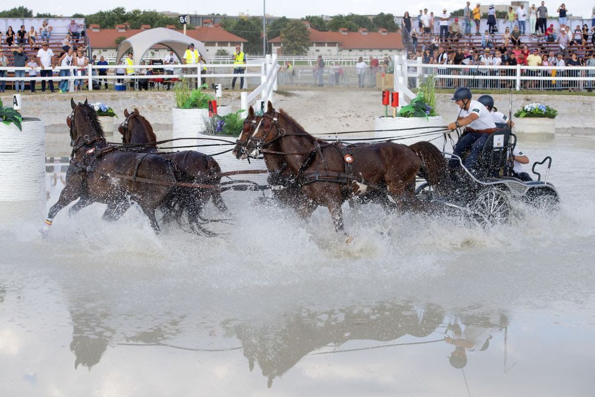 Appuntamento con la storia: FEI World Championship Pratoni - Roma 2022 1 ph. FEI Richard Juilliart