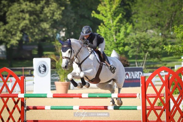 Welcome Back to the Kentucky Summer Horse Shows 6 photo libby greene kentucky