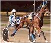 Ippica: Ad Agnano il topwinner è Giuseppe Pistone. Vince tre corse su sette 1 pistone 1