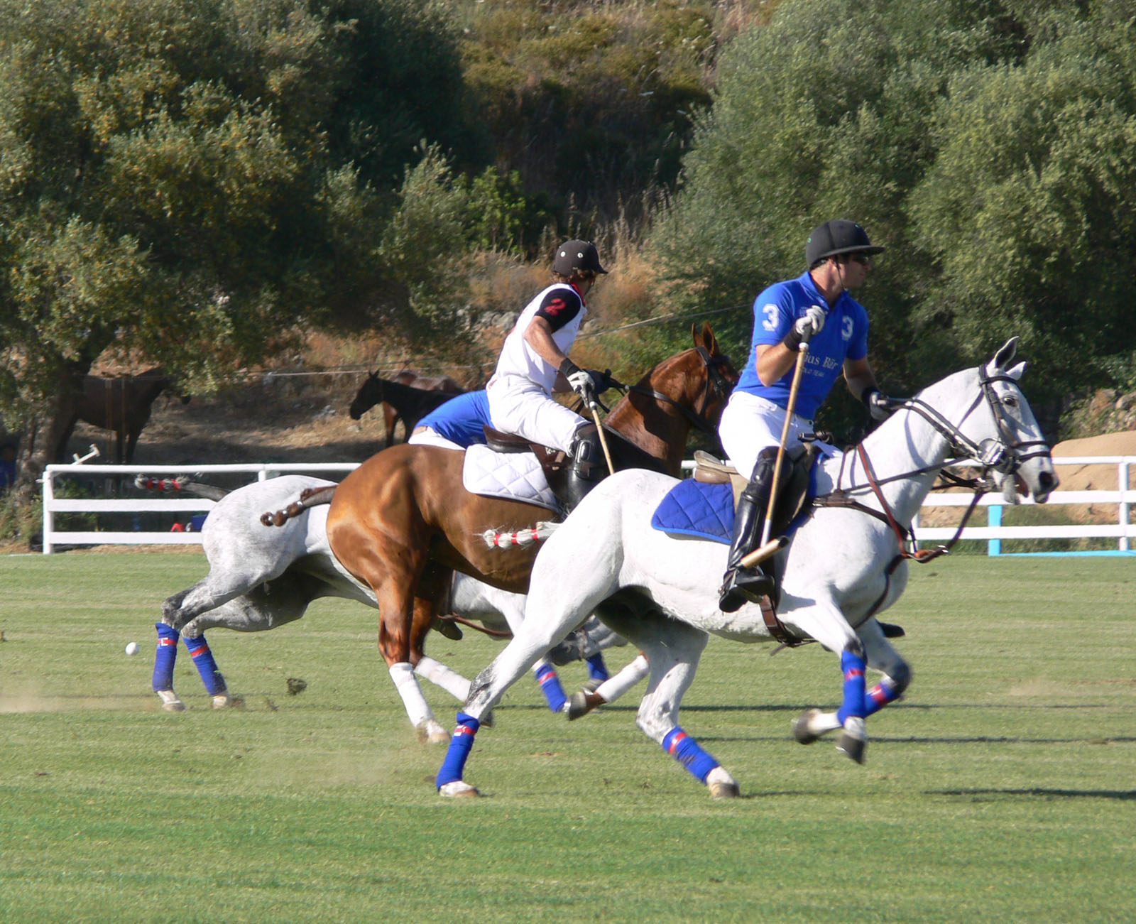 Julius Baer Spring Polo Gold Cup 2009: oggi si completa il quadro delle semifinali 1 polo AUDI JULIUS BAER