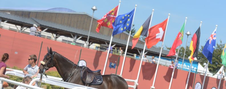 Il Pôle Hippique de Saint-Lô, selezionato per i Giochi Olimpici di Parigi 1 polo 0