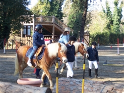 pony games