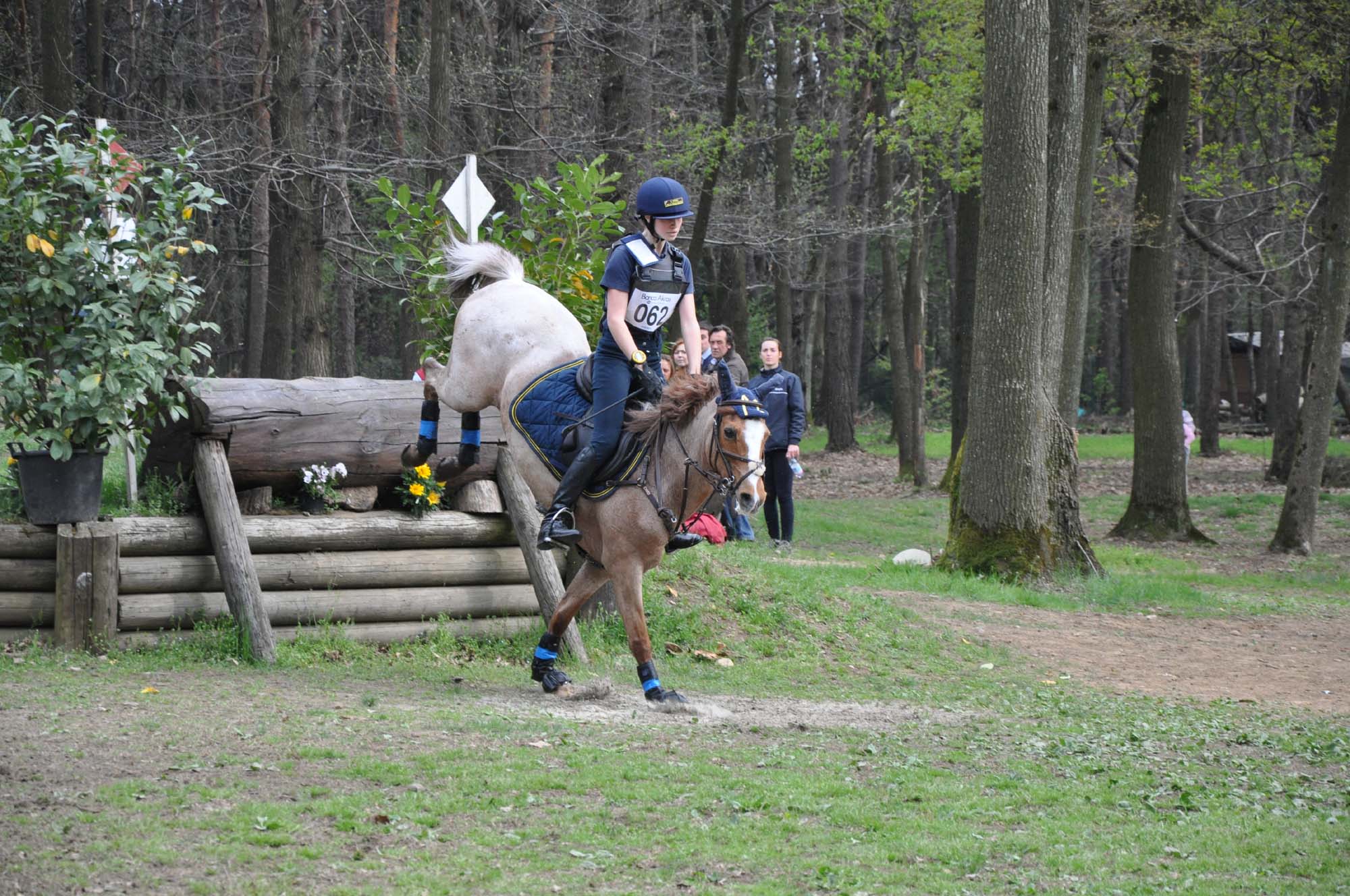 pony generica 3
