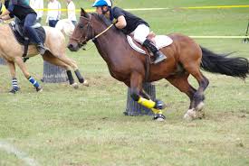 pony 2 1