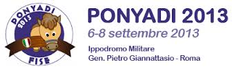 ponyadi 2