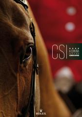 portada csi 2011 aprobada p 1