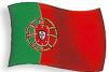 Show Jumping: not only results 1 portugal 1