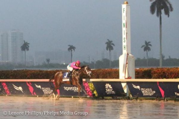 races pegasus